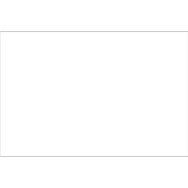 Bondad 4 x 6 in. - White Block Out Labels, White - Roll of 500 BO2536841 - main